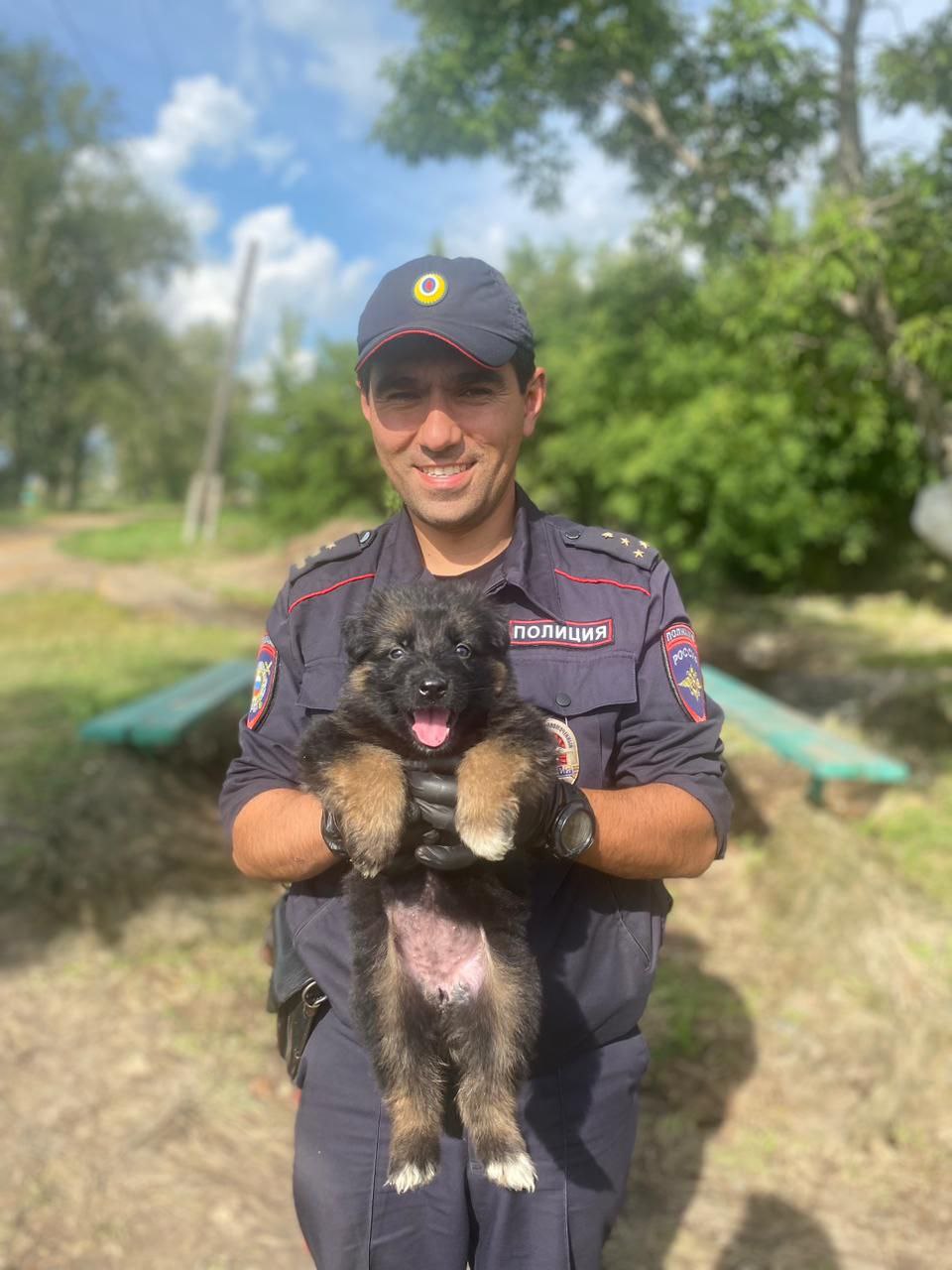 Полицейский в Еткульском районе спас из потопа щенка
